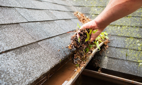 Gutter Cleaning